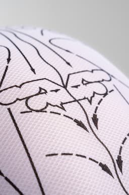 baselayer-example.jpeg