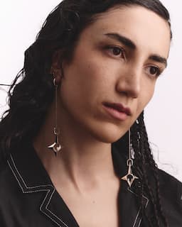 rosa-example.jpeg