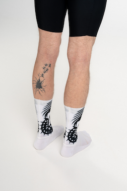 socks-example.jpeg